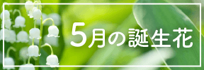 5月の誕生花一覧 誕生日の花と誕生月の花 花言葉 Lovegreen ラブグリーン