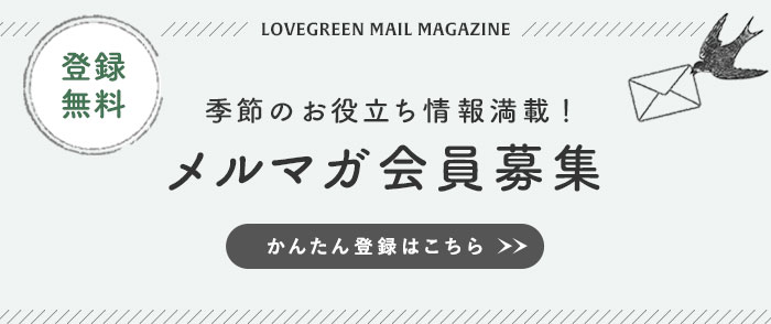 鉢植えでもok バラの育て方とおすすめ新アイテム Lovegreen ラブグリーン