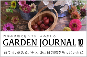 LOVEGREEN(ラブグリーン) | 園芸、ガーデニングの情報サイト