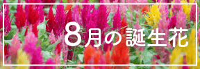 8月の誕生花