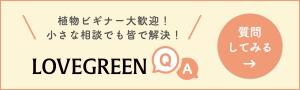 LOVEGREEN QA 質問してみる 小さな相談でも皆で解決！