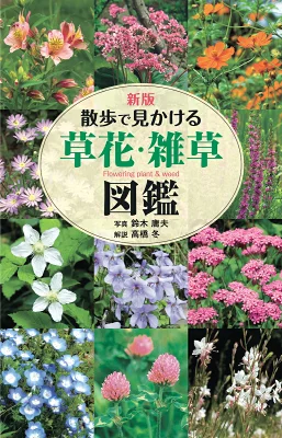 散歩で見かける草花・雑草図鑑