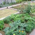 写真提供　アグリス成城