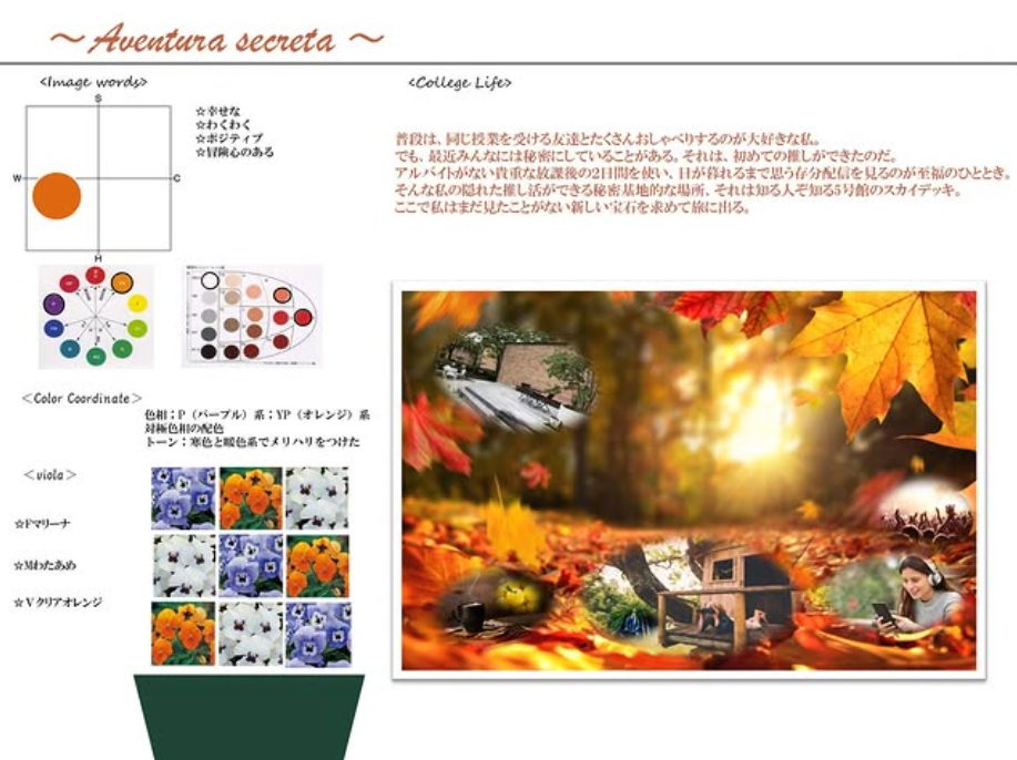 松蔭ビオラプロジェクト　 松蔭花田ゼミ