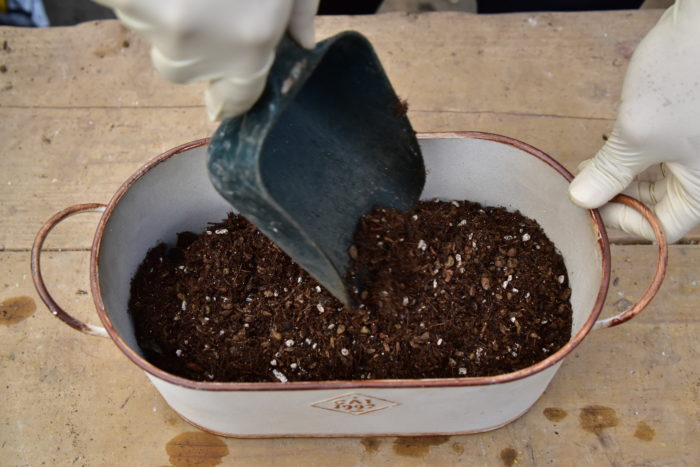 1.鉢底ネットを敷き、水はけを良くするため鉢底石を鉢の高さの1/3まで入れ、最後に土を入れる。