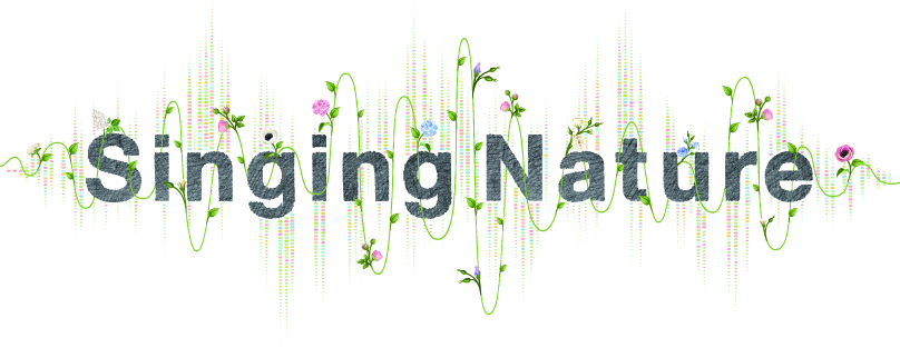 SN_logo_fix_RGB_0226ol