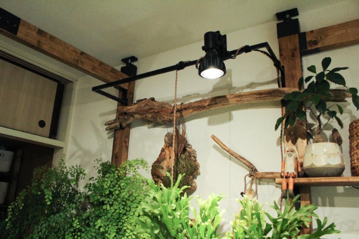 イエソト空間の達人たち＿このやさん