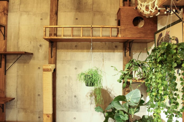 イエソト空間の達人たち＿このやさん