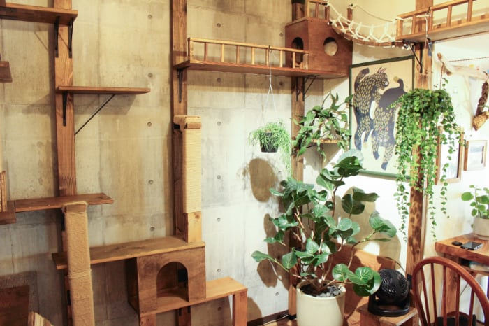 イエソト空間の達人たち＿このやさん