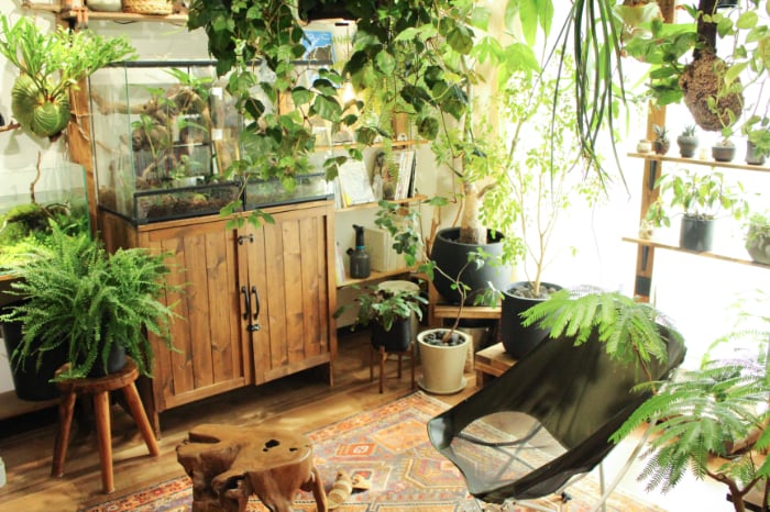 イエソト空間の達人たち＿このやさん