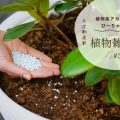 植物にチッソをもたらした男。その光と影