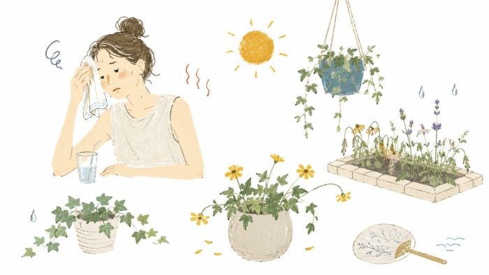 真夏の植物管理、どうしたらいい？｜畑や かとうふぁーむの自然に育つ庭づくり【7月】