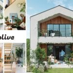 その「余白」が、植物との暮らしを豊かにする。 Doliveと考える、緑と心地よく過ごす住まいのカタチ