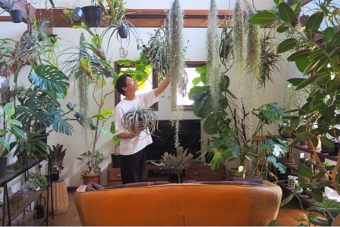 庭づくり　植栽　あの人の庭③｜スコップひとつで育んだ森のような庭　botanical.0715