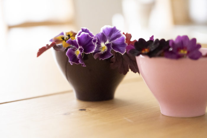 簡単にできる 庭に咲く春の花の飾り方とポイントをレクチャー Lovegreen ラブグリーン 簡単にできる 庭に咲く春の花の飾り方とポイントをレクチャー Lovegreen ラブグリーン