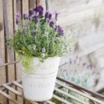 花の寄せ植えレッスン | 初夏をはこぶフレンチラベンダーの寄せ植え