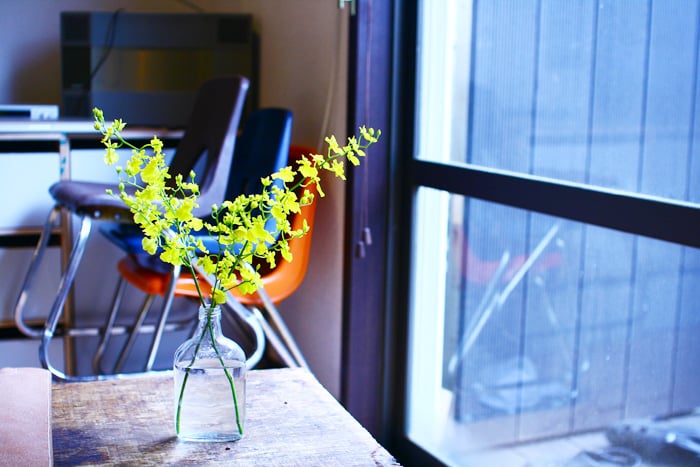 flower03