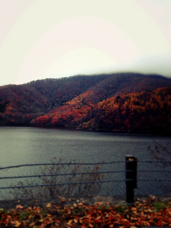 風景１