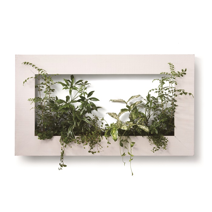 マイギャラリー