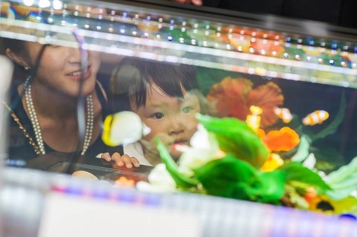 子供顔１