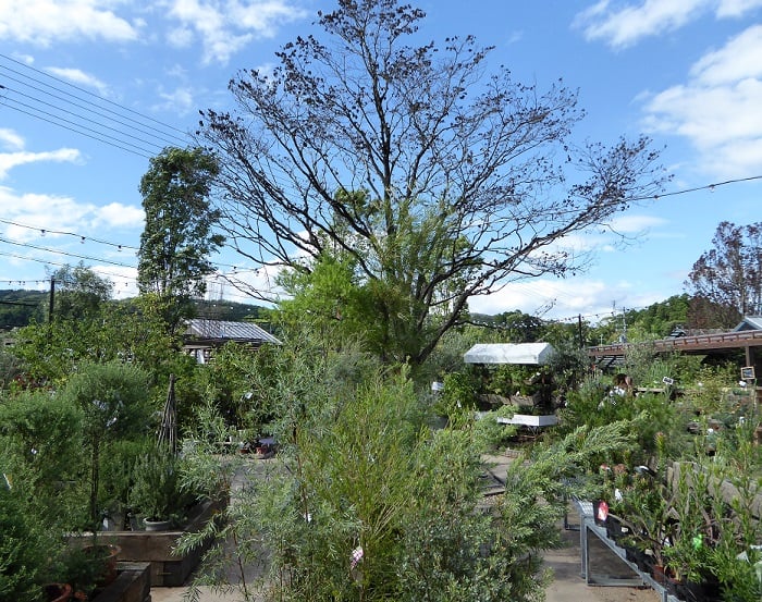 P1020575