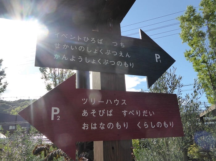 P1020610