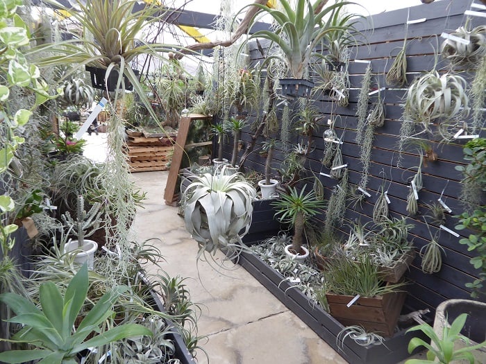 P1020628