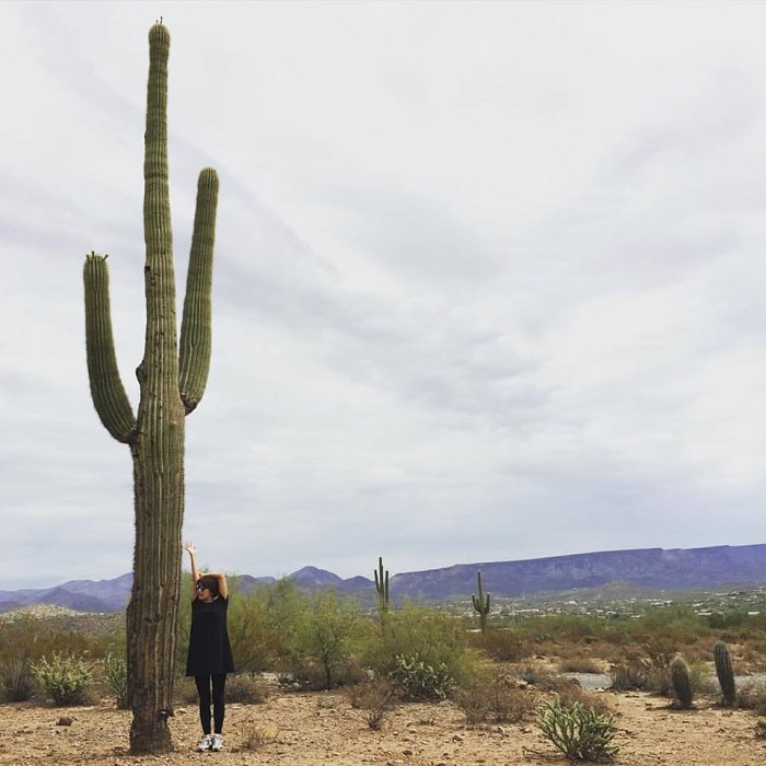 arizona 3