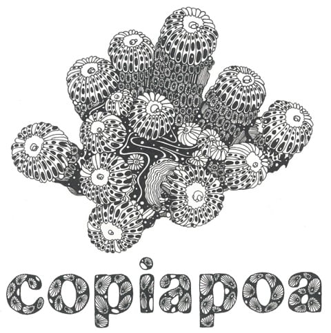copiapoa_ロゴ
