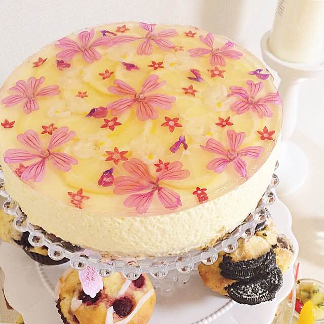 cake2
