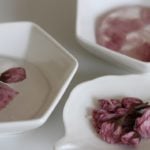 古くから好まれるエディブルフラワー「桜の塩漬け」を作ろう