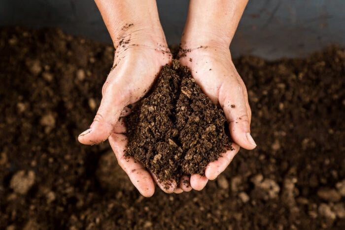 腐葉土は、土づくりの時に土に混ぜて使うこと以外にも、表面に敷くことで冬を越すための防寒対策にもなります。土づくりに使うときは、腐葉土1：土2の割合で混ぜてください。腐葉土が少なすぎると効果を発揮してくれませんし、腐葉土が多すぎると逆に通気性や水はけが悪くなってしまいます。