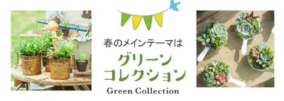 グリーンコレクション