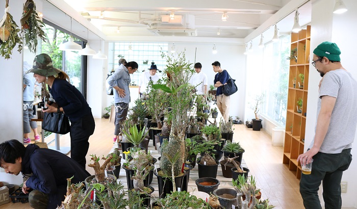 中目黒で話題の植物イベント Soup Vol 2 Tokyo が開催 Lovegreen ラブグリーン
