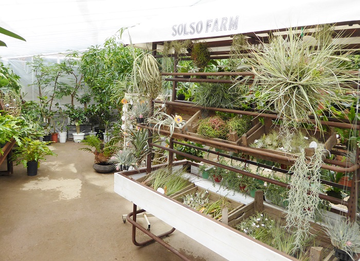P1030022