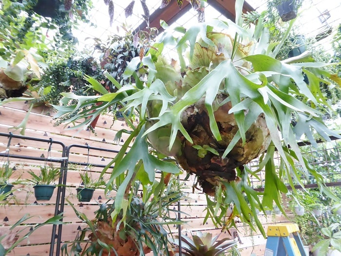 P1030027