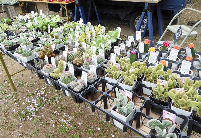P1030118