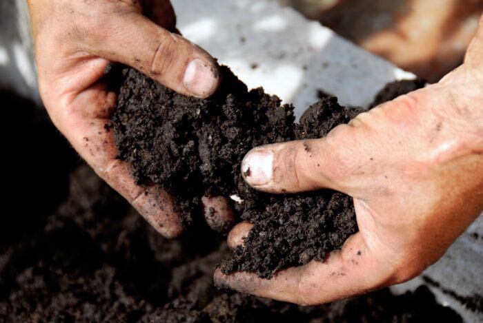 腐葉土の主な効果は「通気性」「保水性」「保肥性」を高めてくれることです。通気性の良い土は新鮮な空気を取り入れやすいので植物も育ちやすく、保水性・保肥性の高い土は植物に十分な栄養と水を与えてくれます。腐葉土には肥料ほどの効果はないものの、土の状態が良いと植物は育ちやすくなるので、状態の改善をしてくれます。