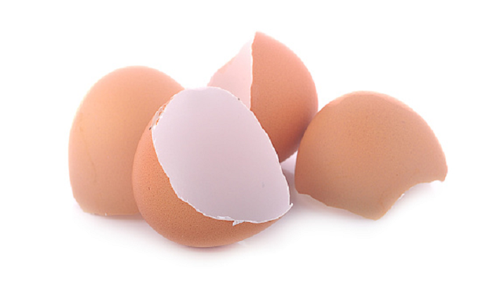 意外な使い道も 卵の殻の再利用法６選 Lovegreen ラブグリーン