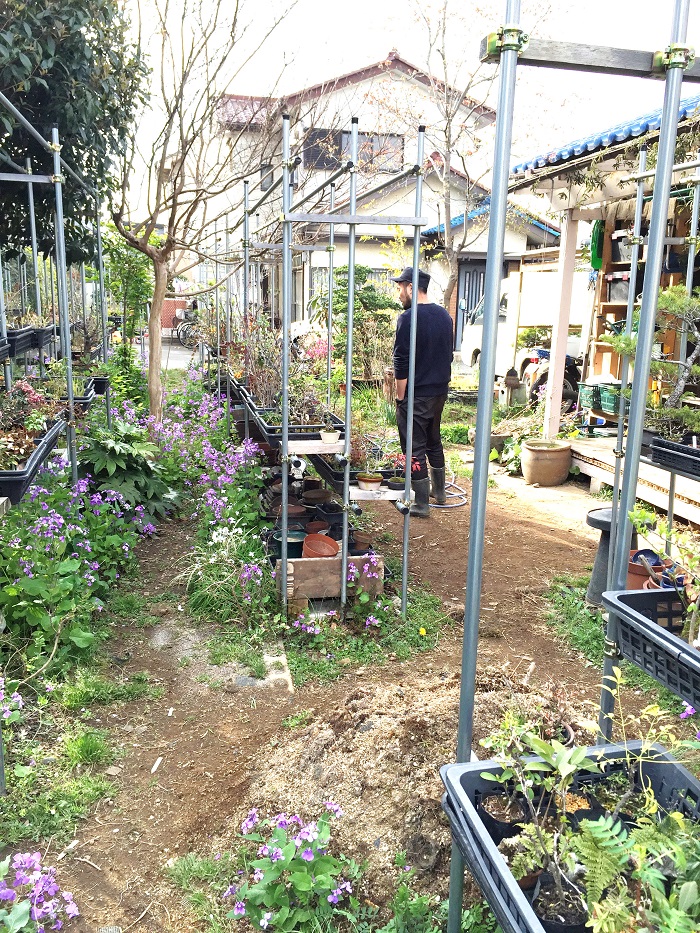 写真 2016-04-06 午後3 54 10