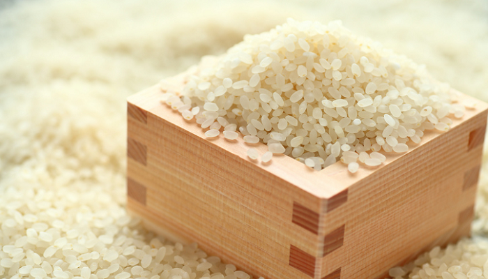 お米や野菜は要注意 メイガ の種類と予防 対策 Lovegreen ラブグリーン
