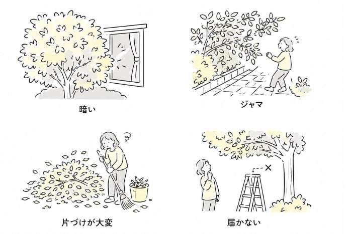 初めての庭リノベ⑤｜大きくなりすぎた庭木は、剪定だけではラクになりません