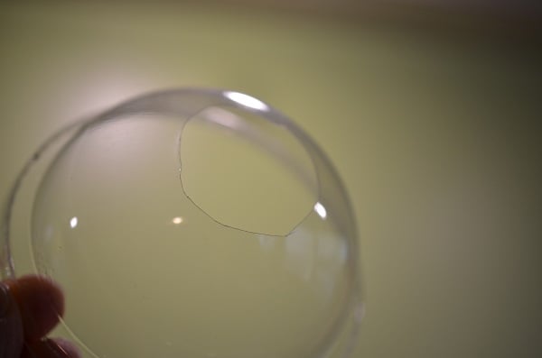 ちょうど良い大きさにはさみでカットしてしまいましょう！大きく切りすぎて球根が落ちてしまわないように注意！
