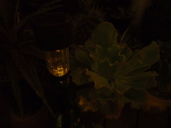 lite_2