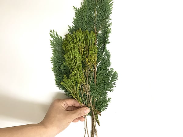 ②植物をランダムに重ねるように合わせる  背の高いものは一番下にして背丈の短いものを前に重ねます。
