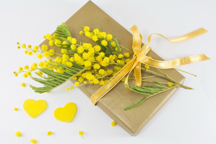 bouquet of mimosa pudica and a goldern wrapped present