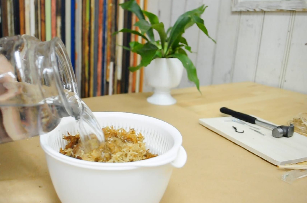 熱湯でふやかしたら、水苔を必ず冷ましてから使いましょう。温度が高いまま使用すると、ビカクシダの根や株を傷めてしまう可能性があります。