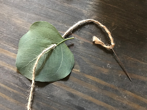 ユーカリ・ポポラスの葉を使ってます。穴を開ける場合は針に糸を通して刺しますが、これも乾いてからではできなくはないですが、葉が割れましたのでドライになる前の方がオススメ。