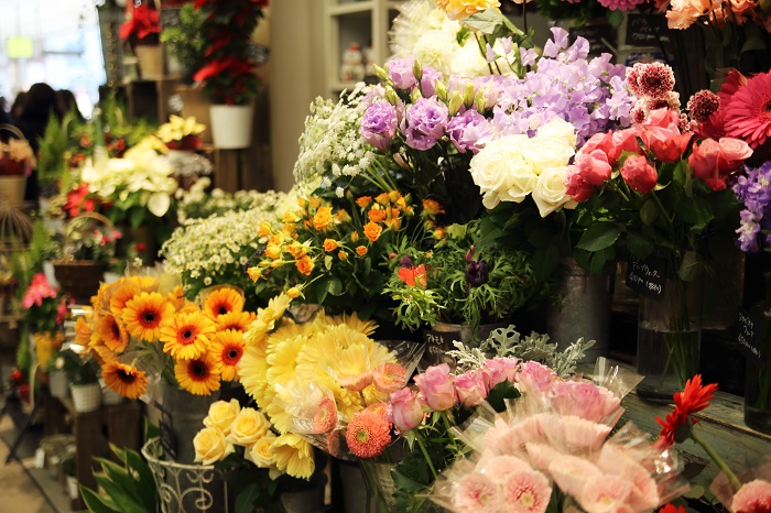 beautiful colorful flowers in flower shop