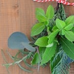クリスマスは庭やベランダの植物でミニスワッグ作り！